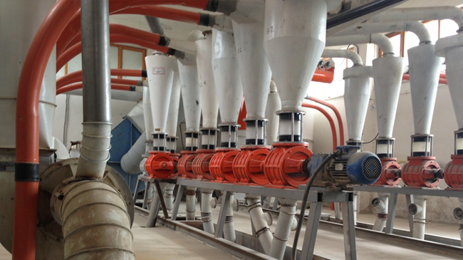 Un-İrmik-Makarna-Bakliyat